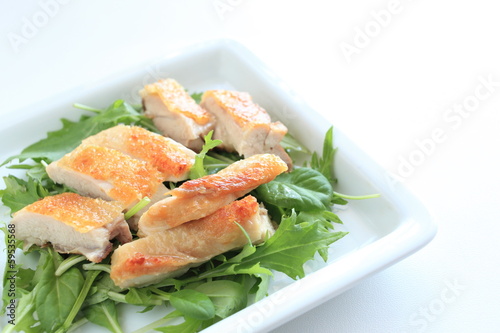 grilled chicken on baby leaf salad