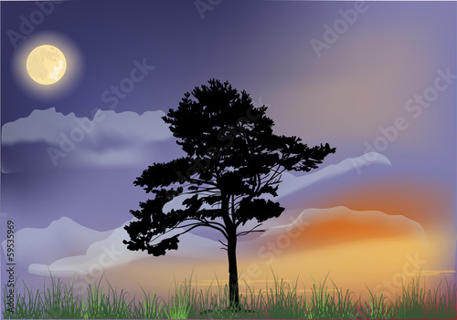 single pine tree under full moon © Alexander Potapov