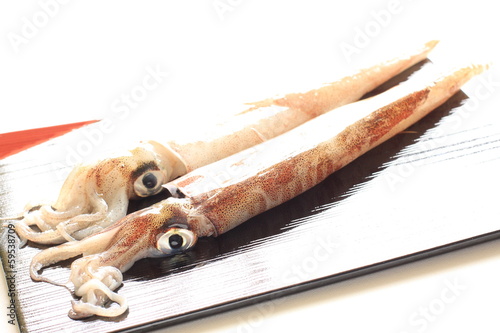 freshness squid from Japan