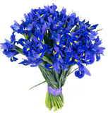 Bouquet of fresh blue irise flowers isolated on white background
