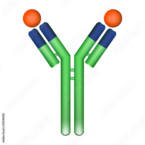 Antibody molecule with antigen