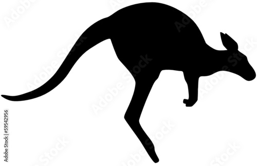 Känguru