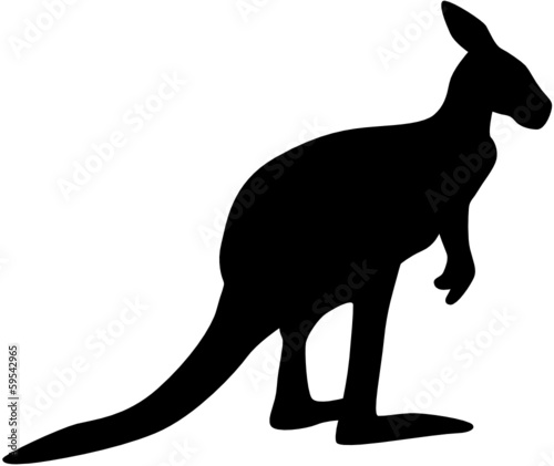 Känguru