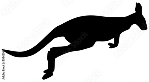 Känguru