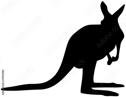 Känguru