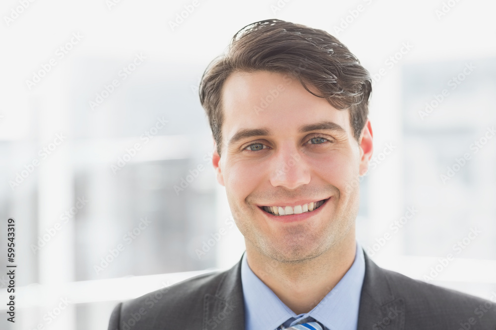 Smiling handsome businessman Smiling handsome businessman