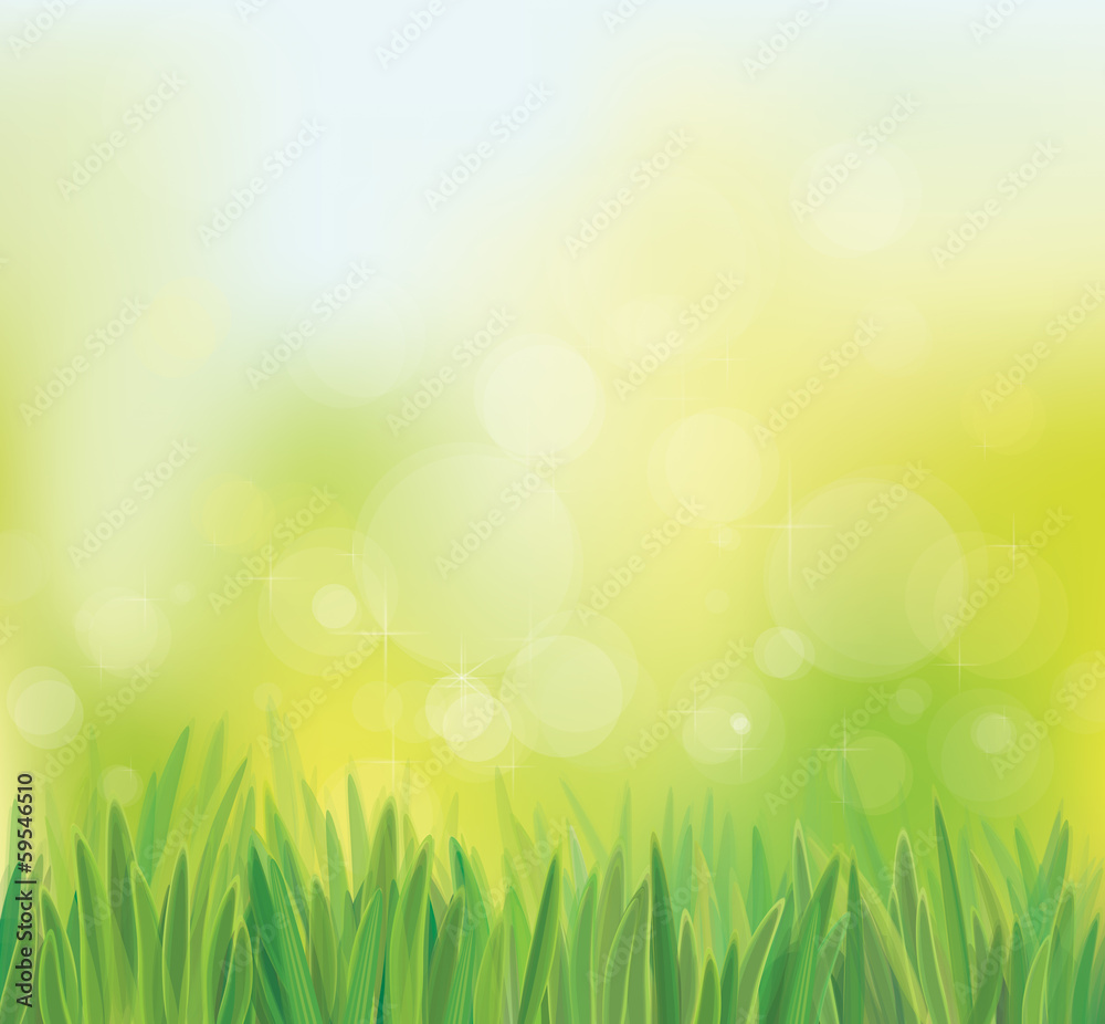 Vector spring background with grass.