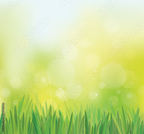Vector spring background with grass.