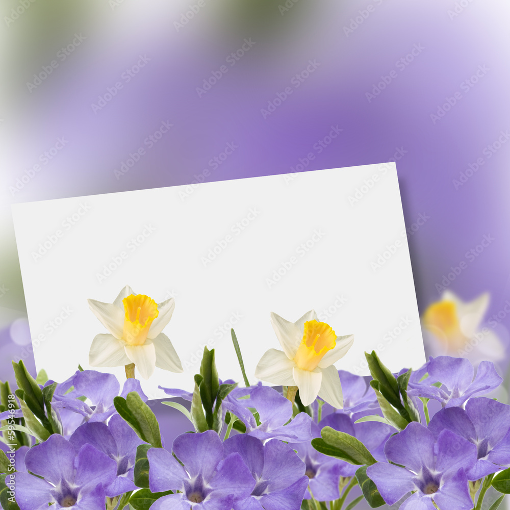 Spring background Spring background