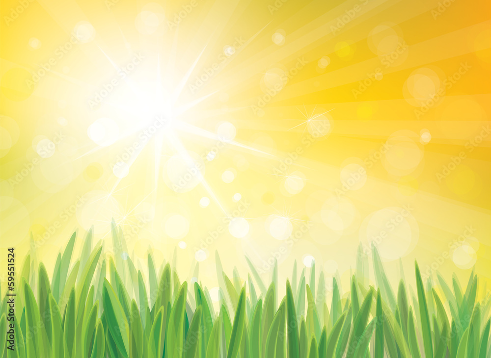 Vector sunshine background with grass.