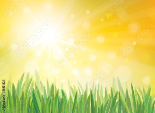 Vector sunshine background with grass.
