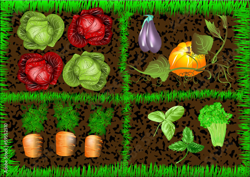 vegetable garden