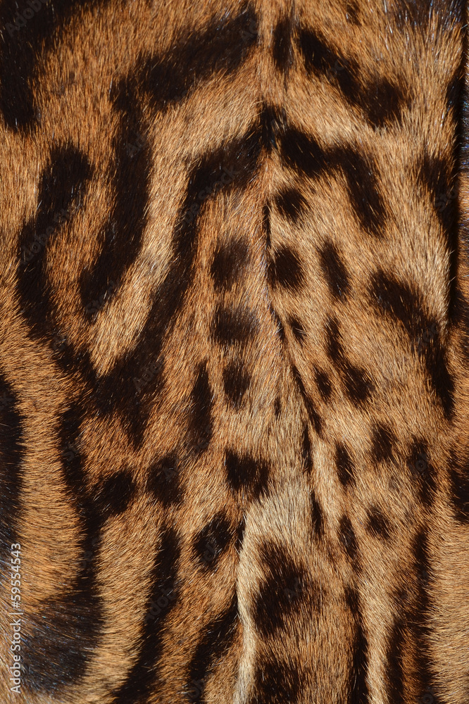 lynx fur pattern lynx fur pattern