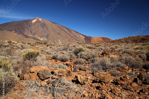 Tenerife, Canary Islands, Spain - volcano Teide National Park. M