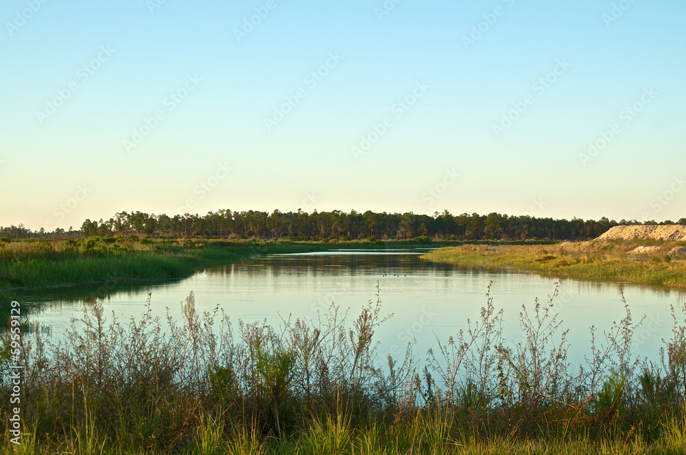 swampland pond in rural florida