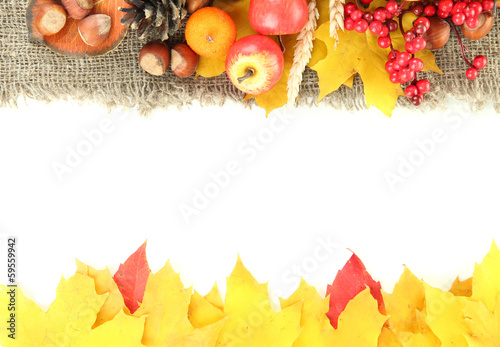 Beautiful autumn composition  isolated on white