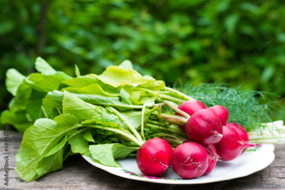 Young radishes and green onions on a plate Young radishes and green onions on a plate