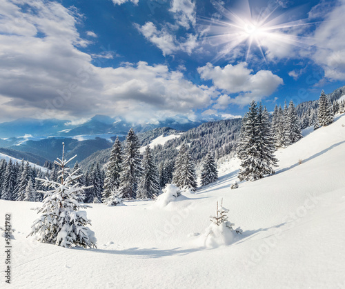 Beautiful winter landscape in the Carpathian mountains