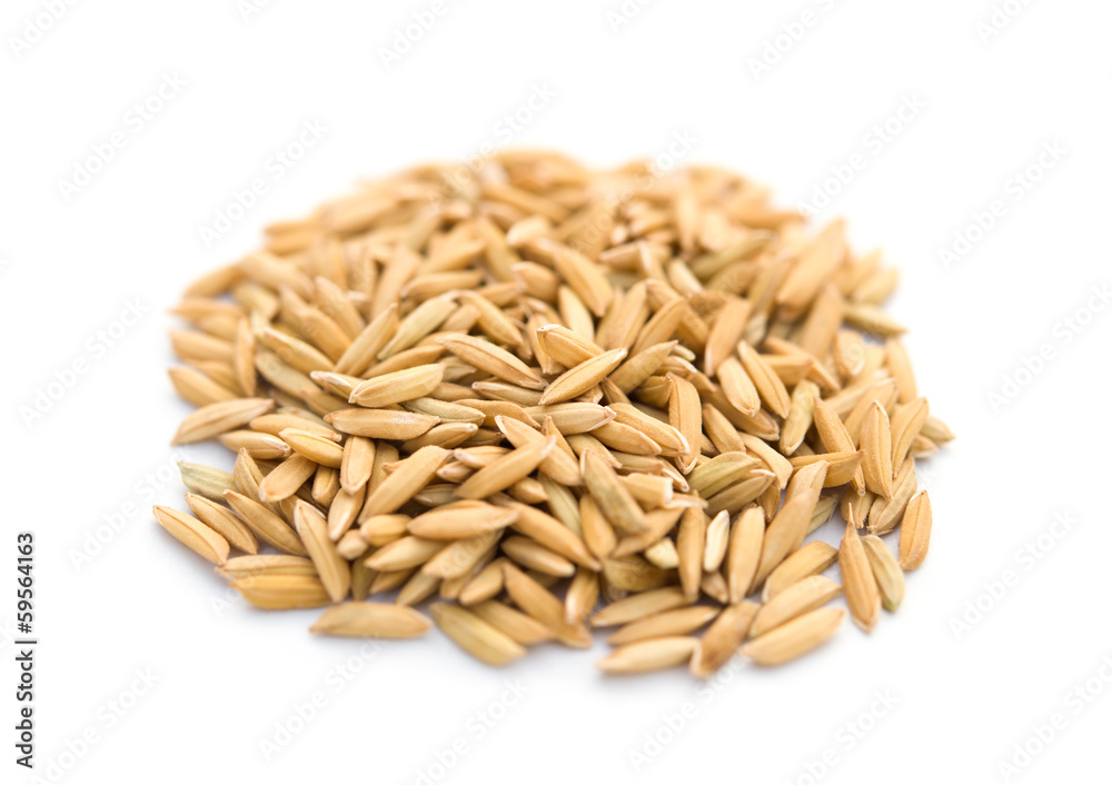 stack of paddy on a white background