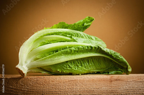 Organic romain lettuce isolated photo