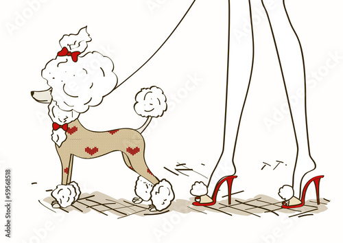 Illustration with glamour Poodle dog