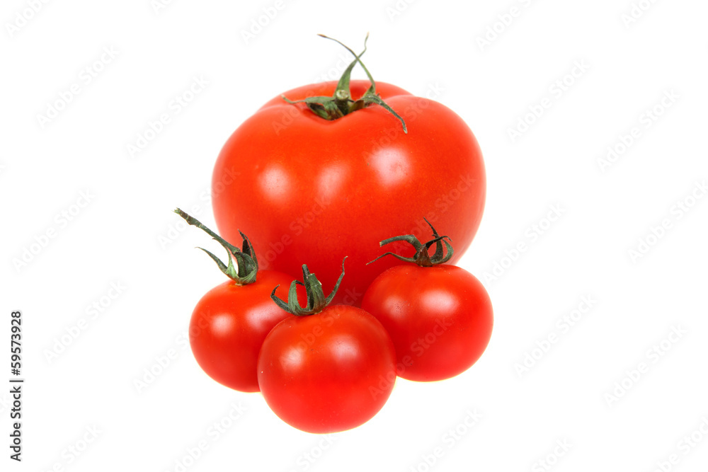 Cherry and normal tomatoes, isolated Cherry and normal tomatoes, isolated