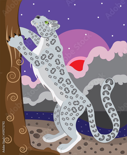 The snow leopard sharpens claws.