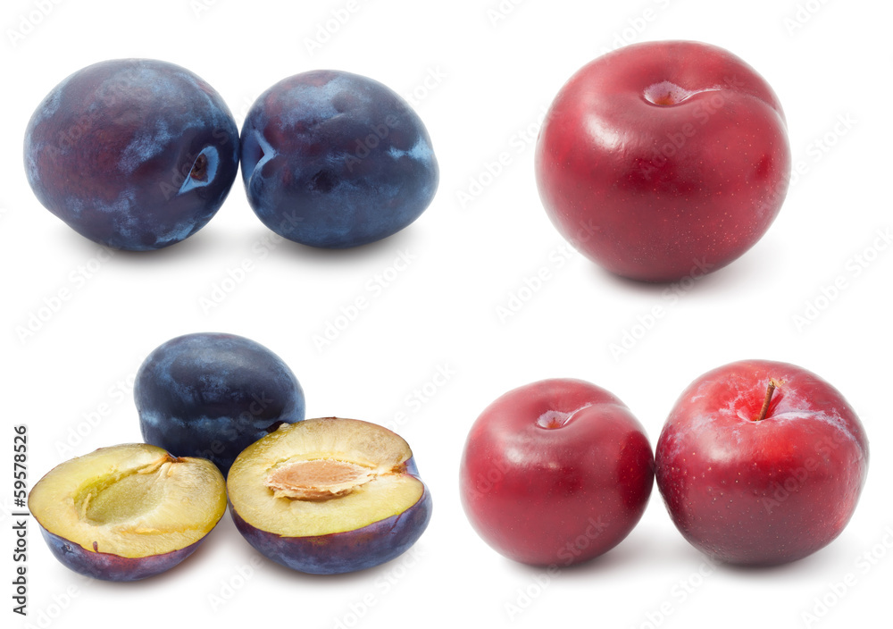Plum Plum