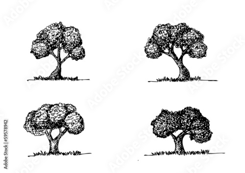 Set of Vector trees with leaves