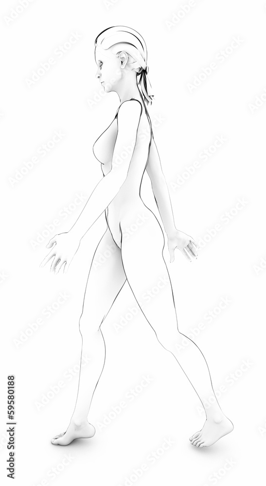 Donna corpo umano anatomia corpo bianco schizzo disegno