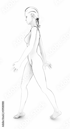 Donna corpo umano anatomia corpo bianco schizzo disegno