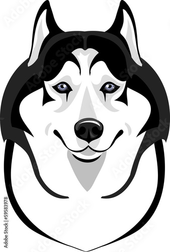 Malamute