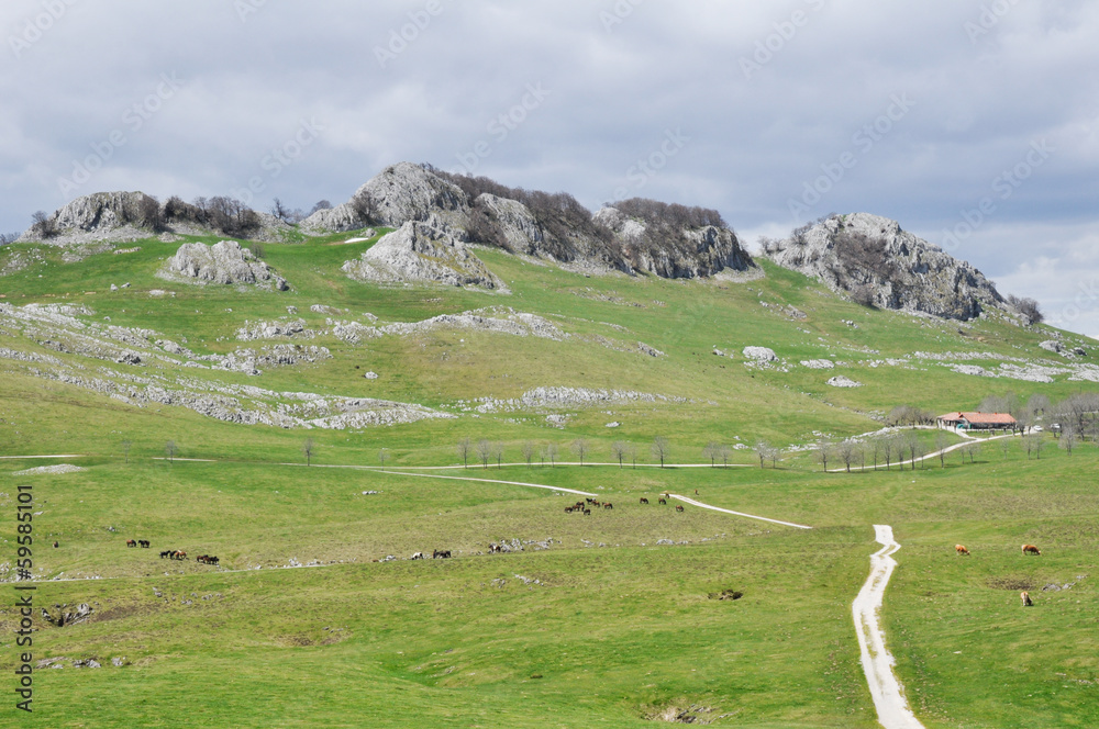 Fototapeta premium Campas de Urbía, País Vasco (España)