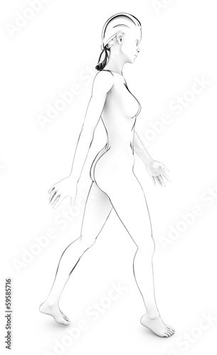 Donna corpo umano anatomia corpo bianco schizzo disegno