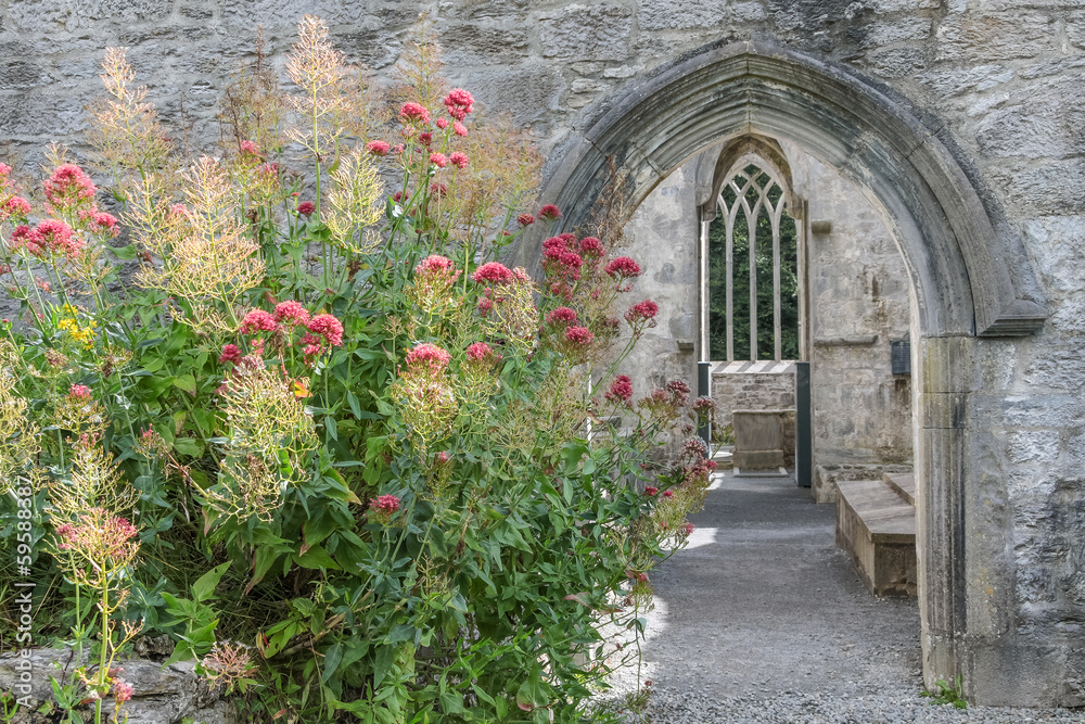 Naklejka premium Ruine der Muckross Abbey