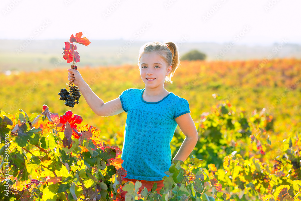 Kid girl in autumn vineyard field holding red grapes bunch Kid girl in autumn vineyard field holding red grapes bunch