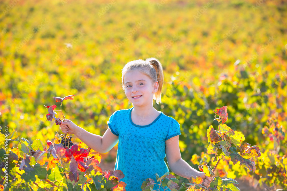 Kid girl in autumn vineyard field holding red grapes bunch Kid girl in autumn vineyard field holding red grapes bunch