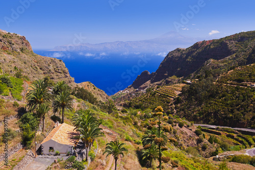 Road in La Gomera island - Canary photo