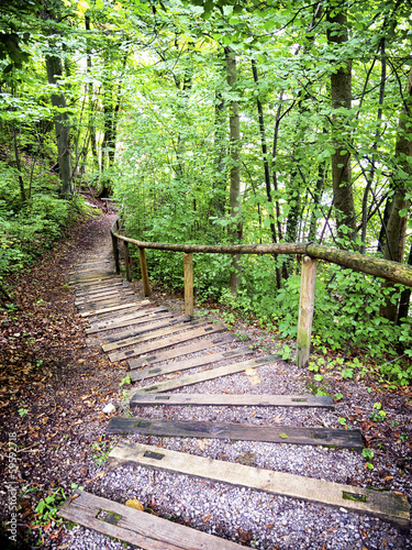 wooden steps