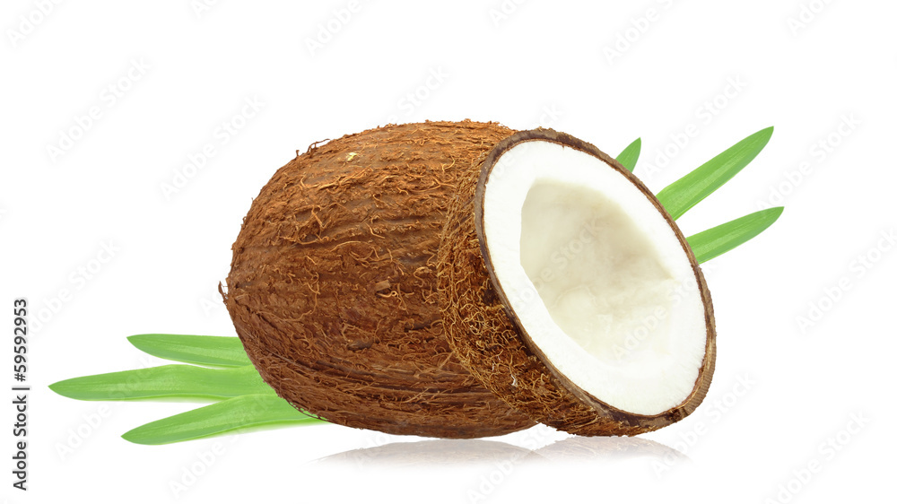 coconuts coconuts