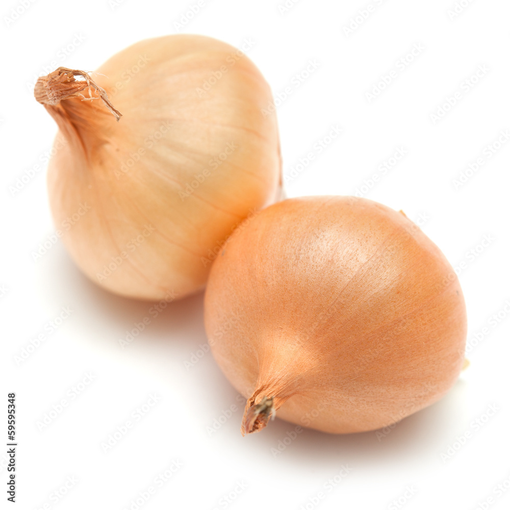 Fototapeta premium mini onions isolated on white
