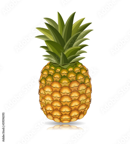pineapple isolated