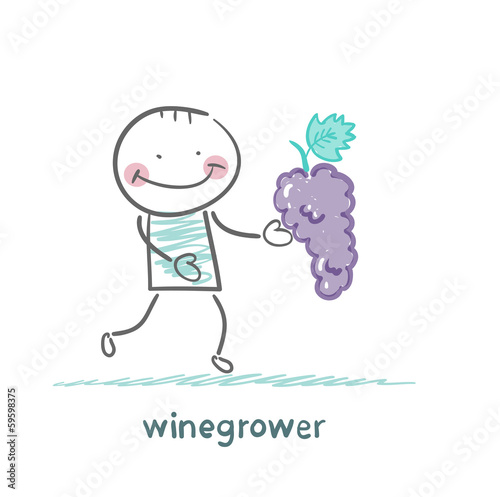 winegrower holds a bunch of grapes