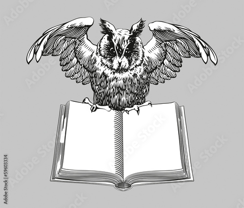 Education emblems. Owl on a book.