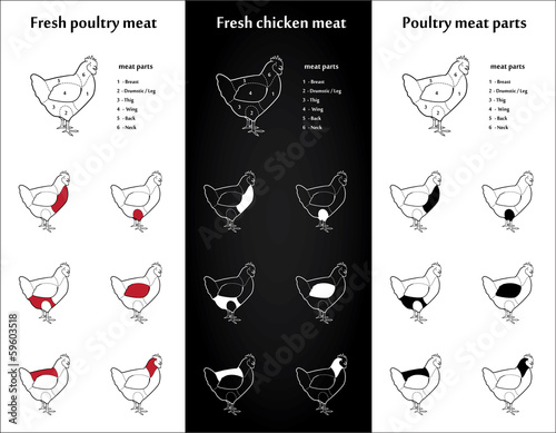 Chicken meat parts Icons for packaging and infographic 1