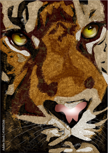tiger