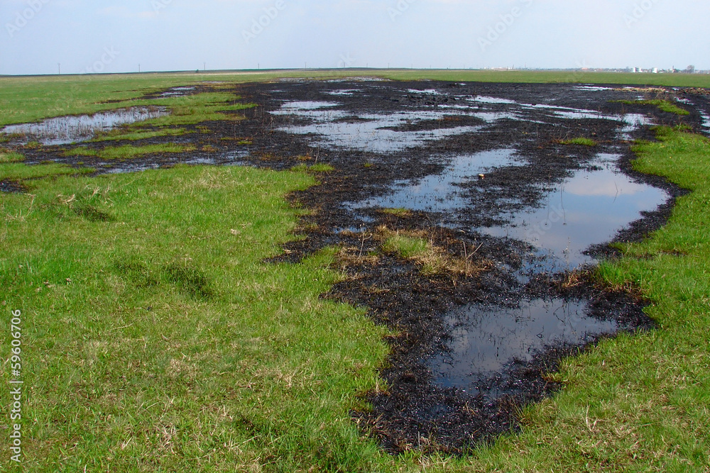 Spilled crude oil on field - nature polution