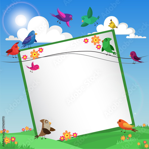background with birds