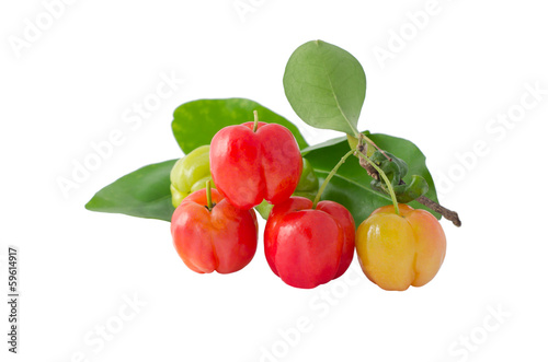 group of cherries