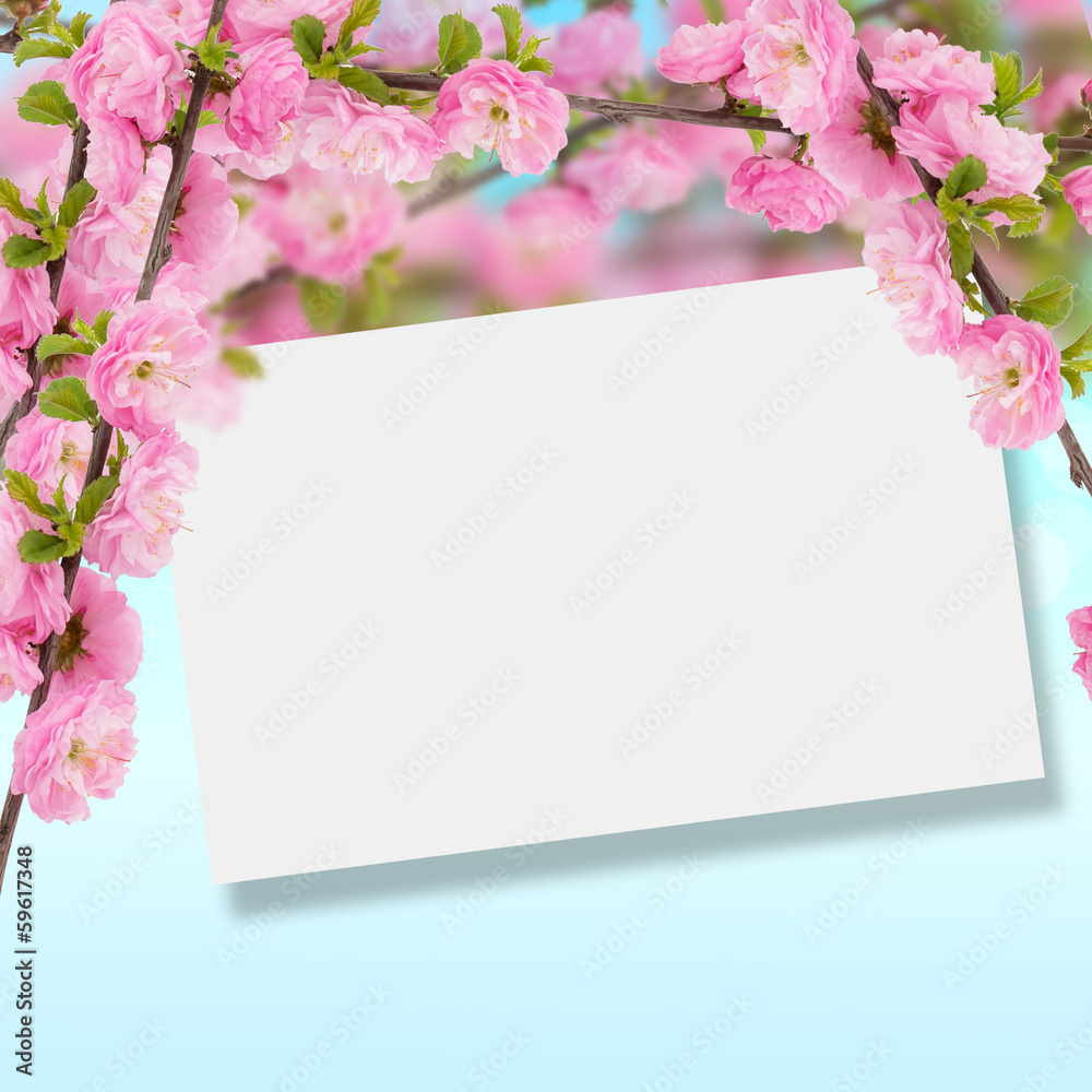 Postcard with fresh spring flowering tree and empty  place for y